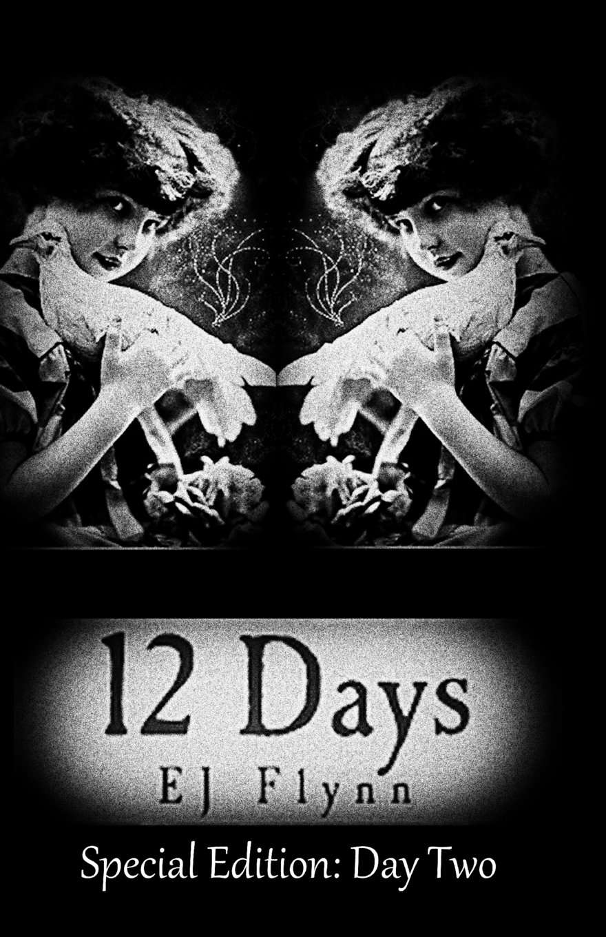12 Days Special Edition: Day Two poster