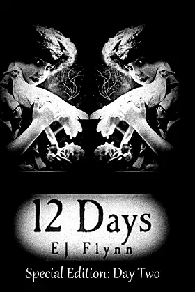 12 Days Special Edition: Day Two poster