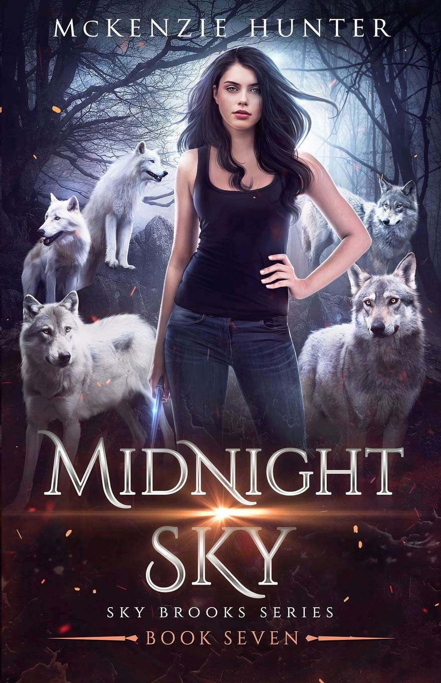 Midnight Sky (Sky Brooks Series) poster