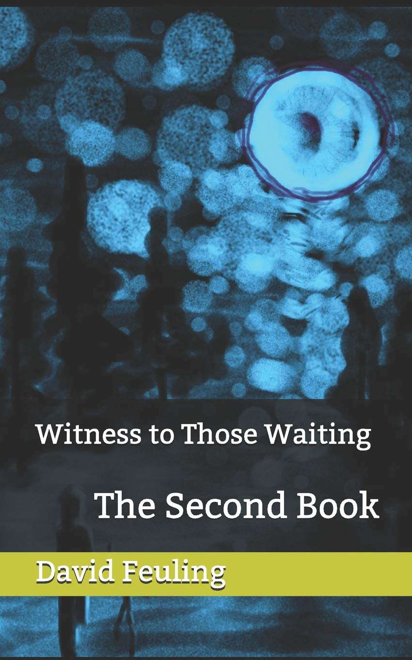 Witness to Those Waiting: The Second Book in the "Bravo Juliet" Series poster