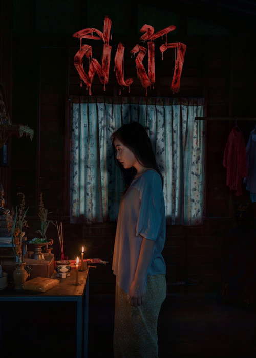 Possessed poster