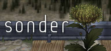 Sonder capsule