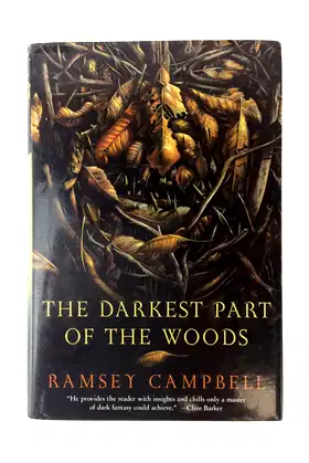 The Darkest Part of the Woods poster