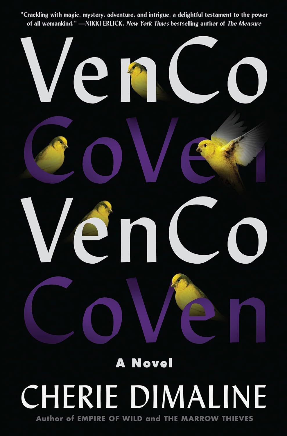 VenCo: A Novel poster