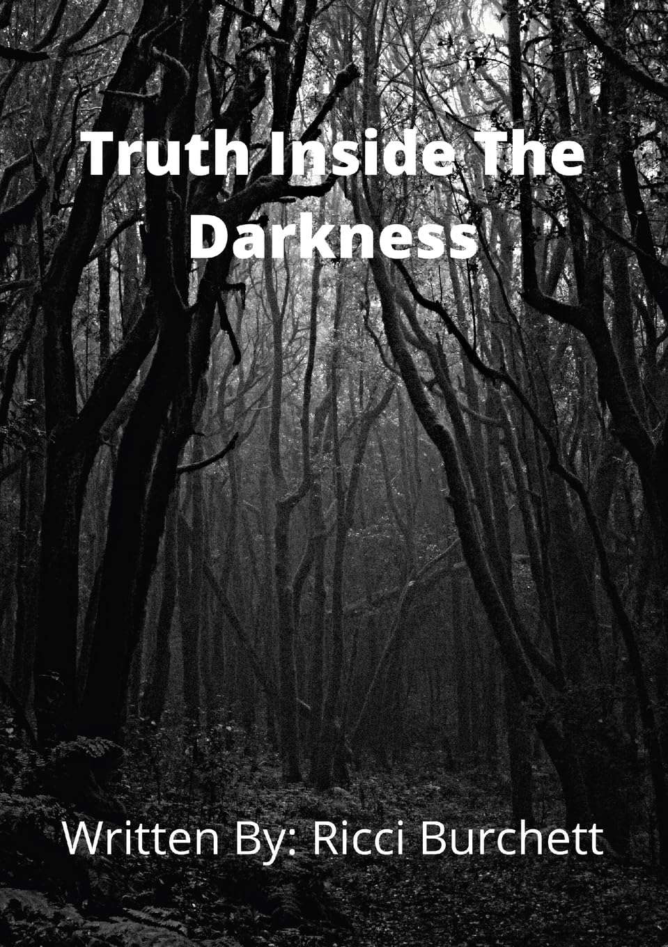 The Truth Inside The Darkness poster