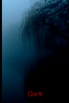 Dark Notebook: Ghostly Swamp (Dark Notebooks) poster