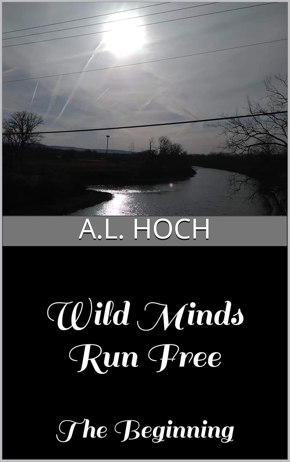 Wild Minds Run Free: The Beginning poster