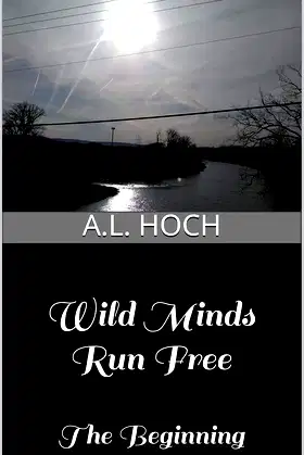 Wild Minds Run Free: The Beginning poster