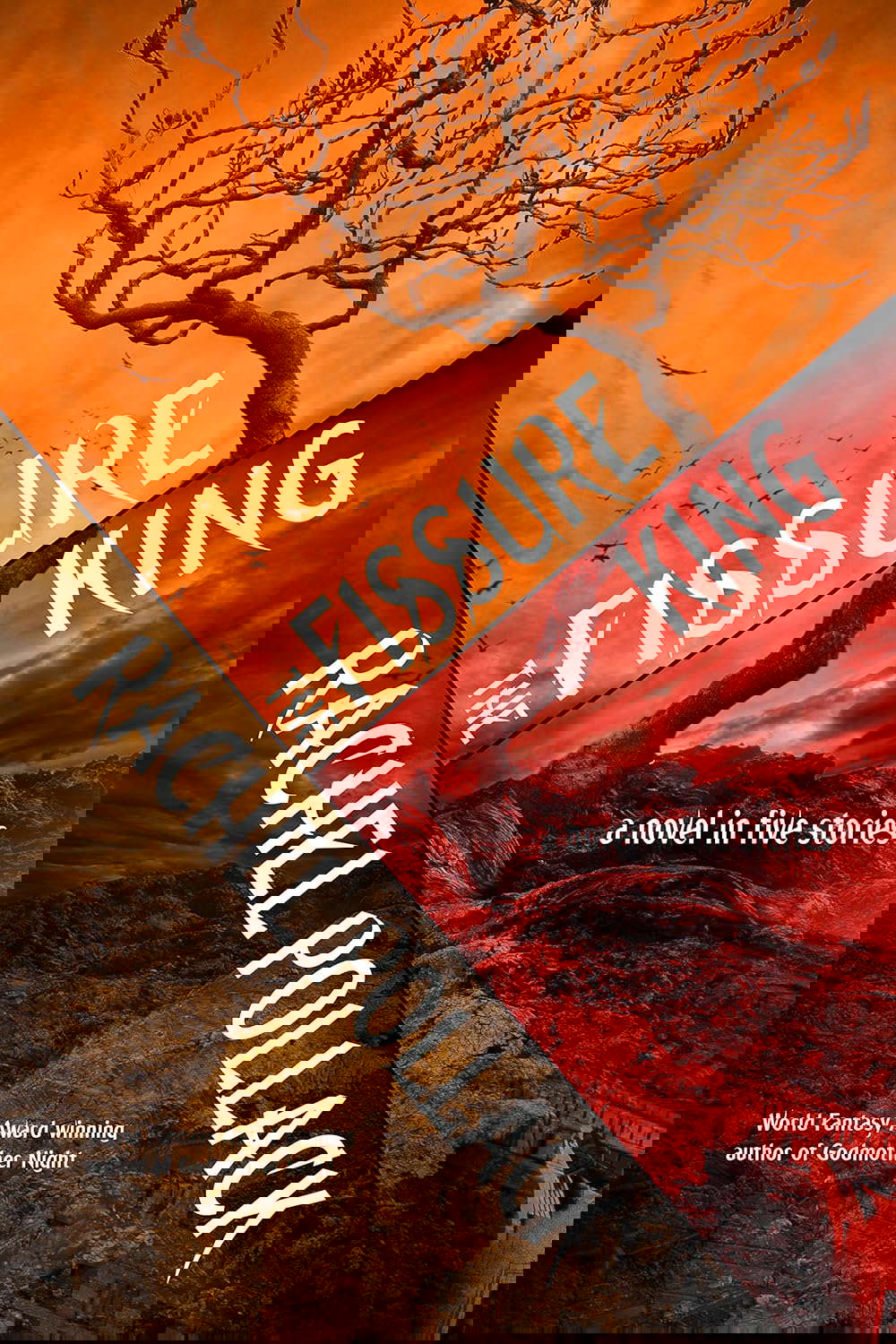 The Fissure King: A Novel in Five Stories poster