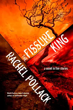 The Fissure King: A Novel in Five Stories poster