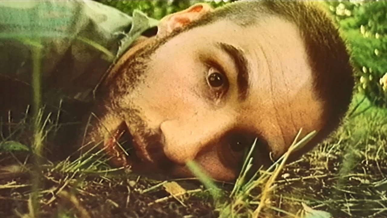 Poster for Mosquito