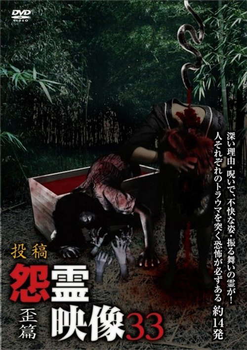 Posted Grudge Spirit Footage Vol.33: Distorted Edition poster
