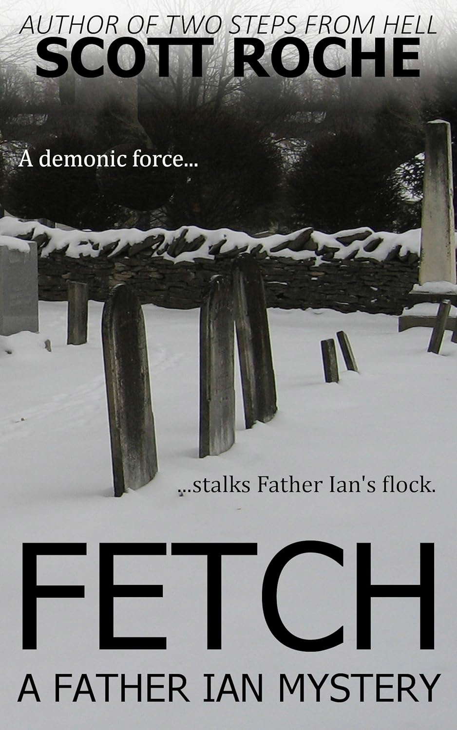 Fetch (Father Ian Mysteries) poster