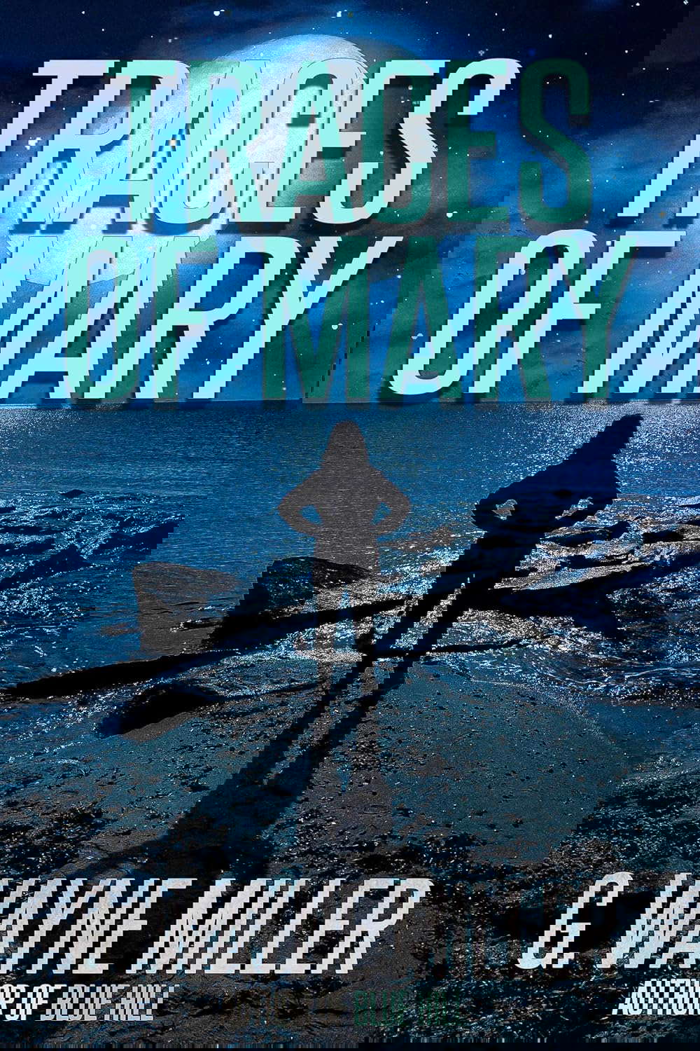 Traces of Mary poster