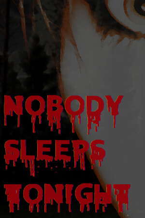 Nobody Sleeps Tonight poster