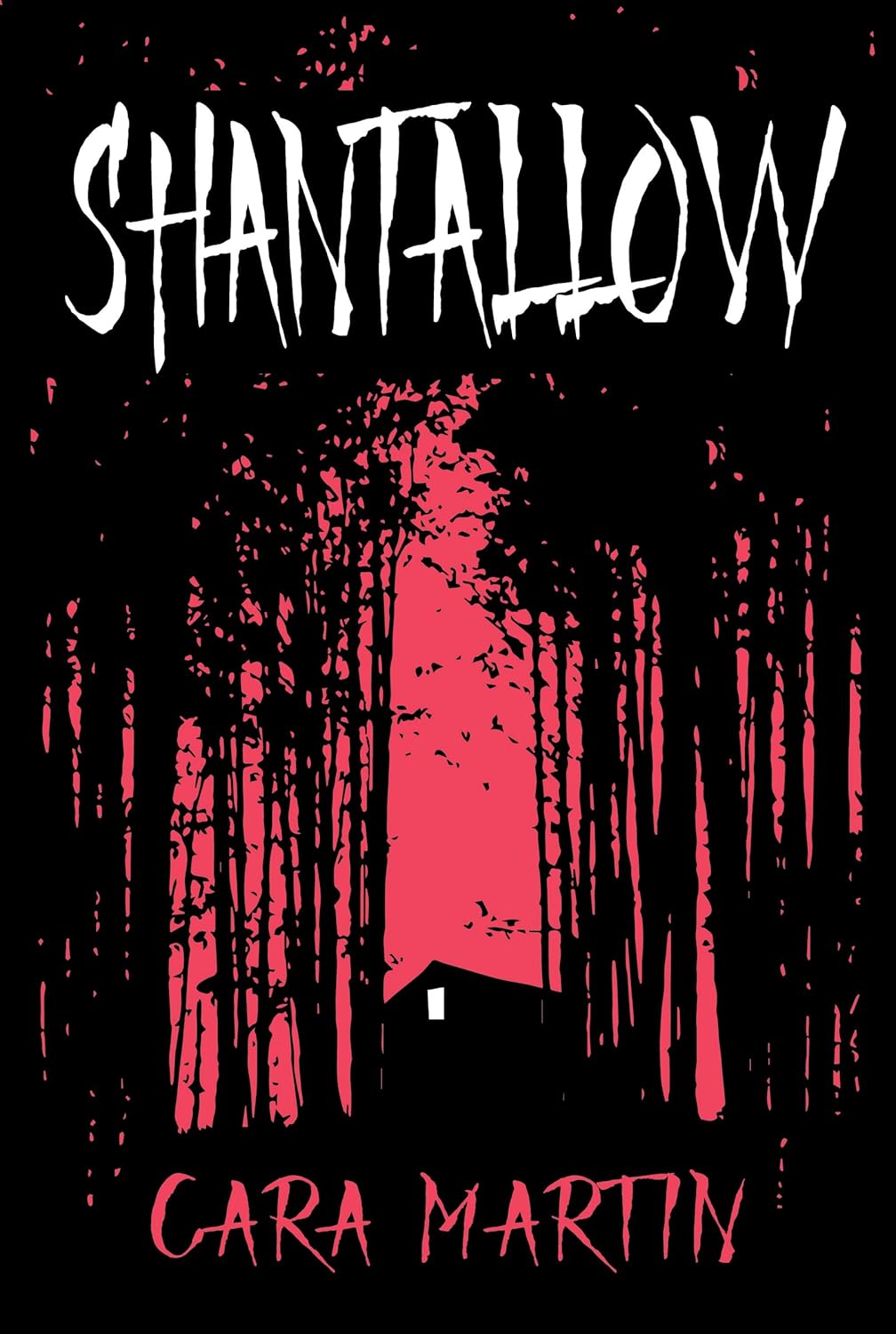 Shantallow poster