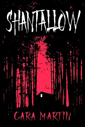 Shantallow poster