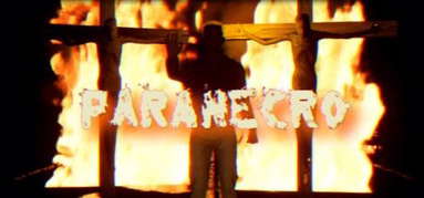 PARANECRO capsule