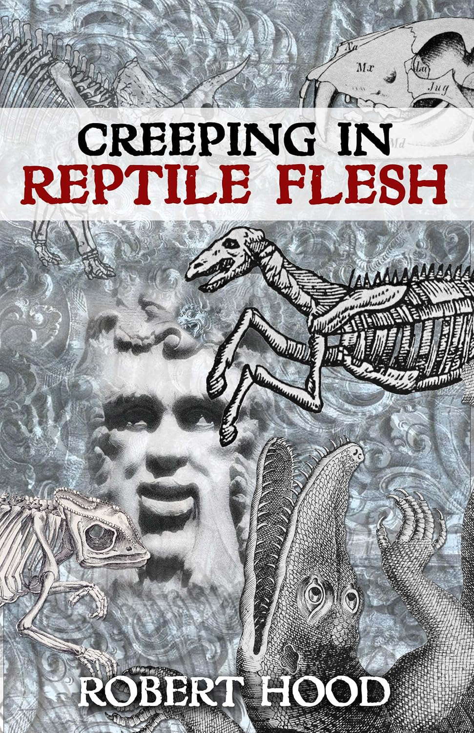 Creeping in Reptile Flesh poster