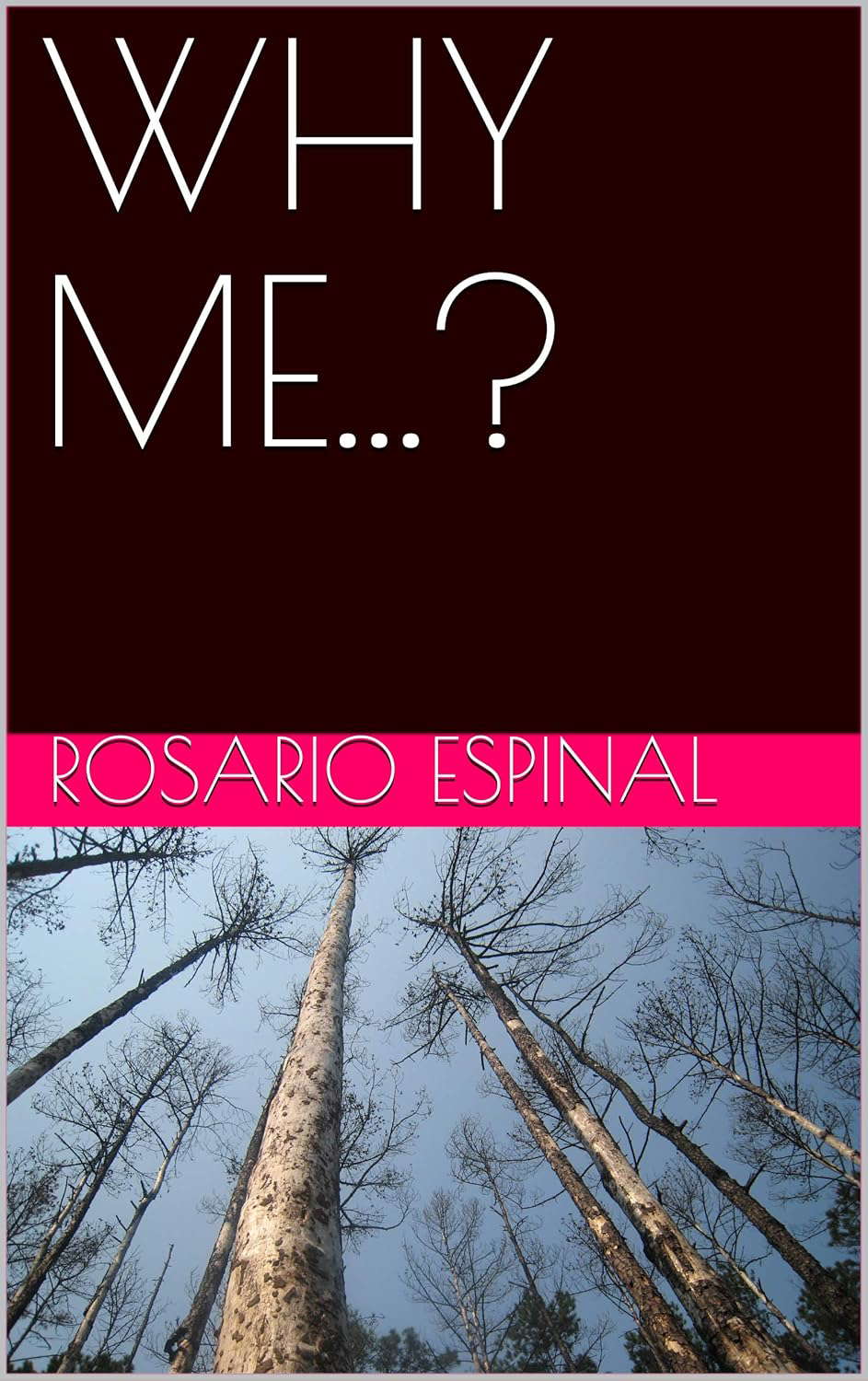 WHY ME...? poster