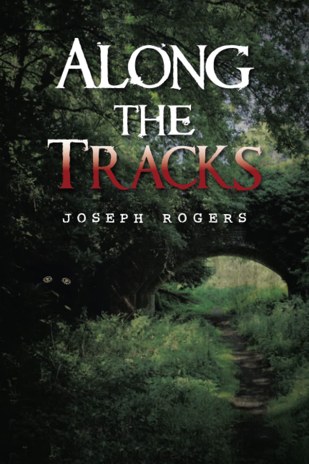 Along the Tracks poster