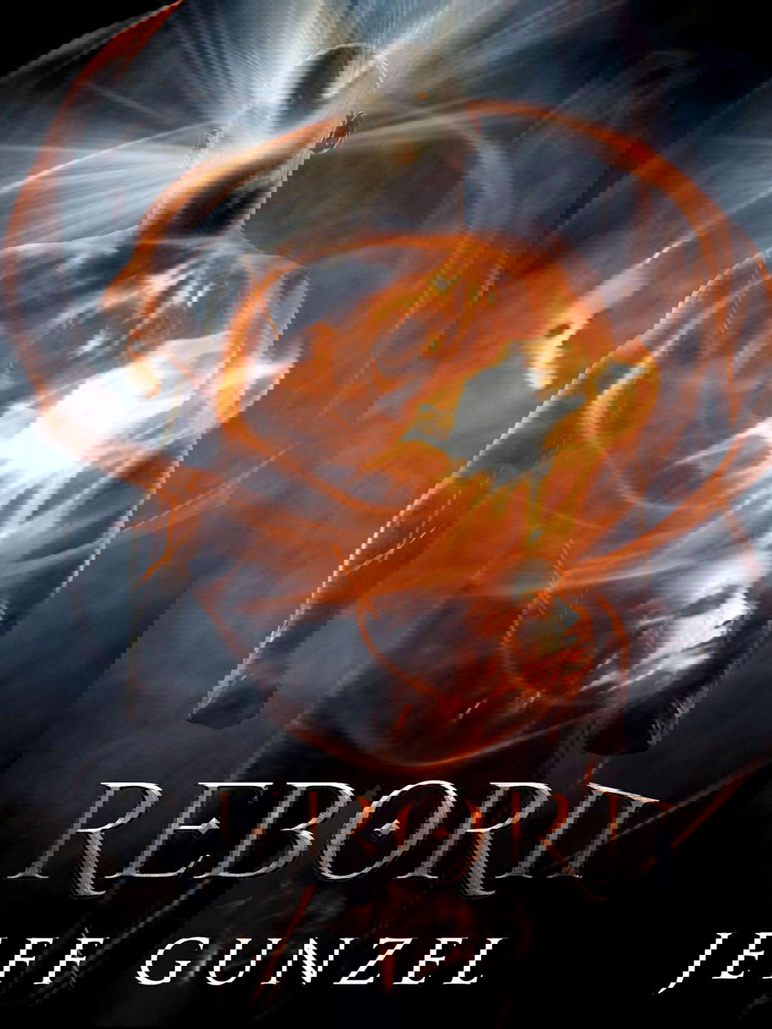 Reborn (The Legend Of The Gate Keeper Book 4) poster