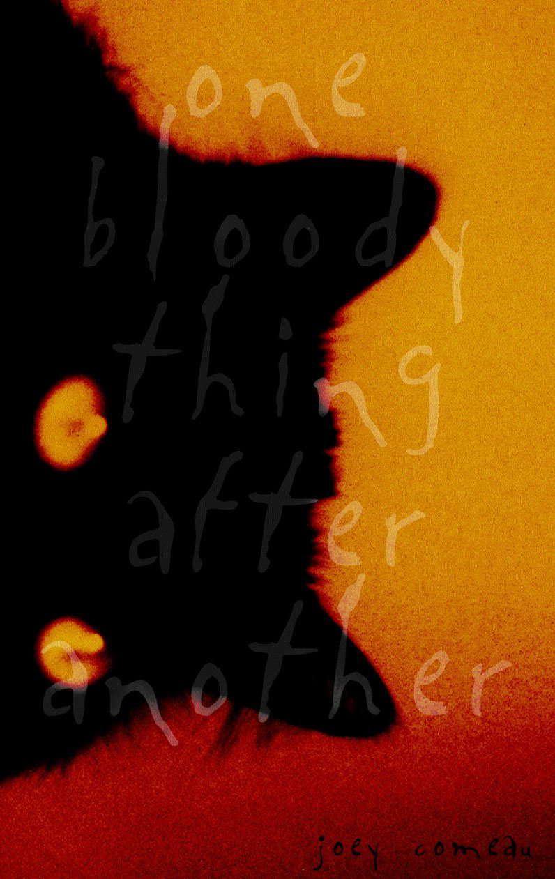 One Bloody Thing After Another poster
