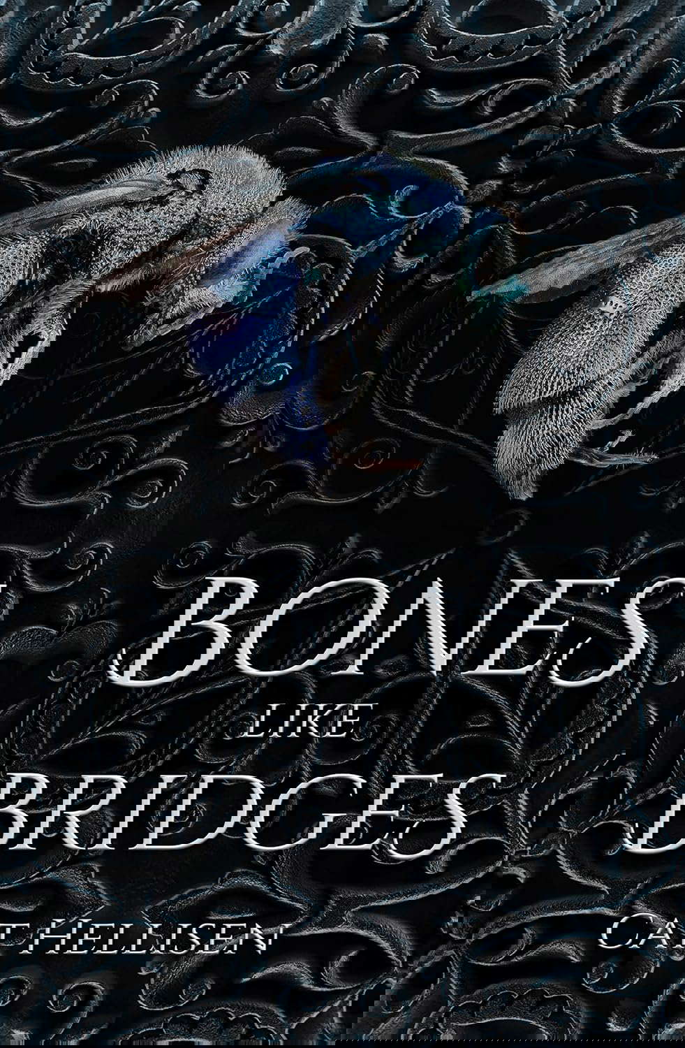 Bones Like Bridges poster