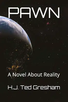 PAWN: A Novel About Reality poster