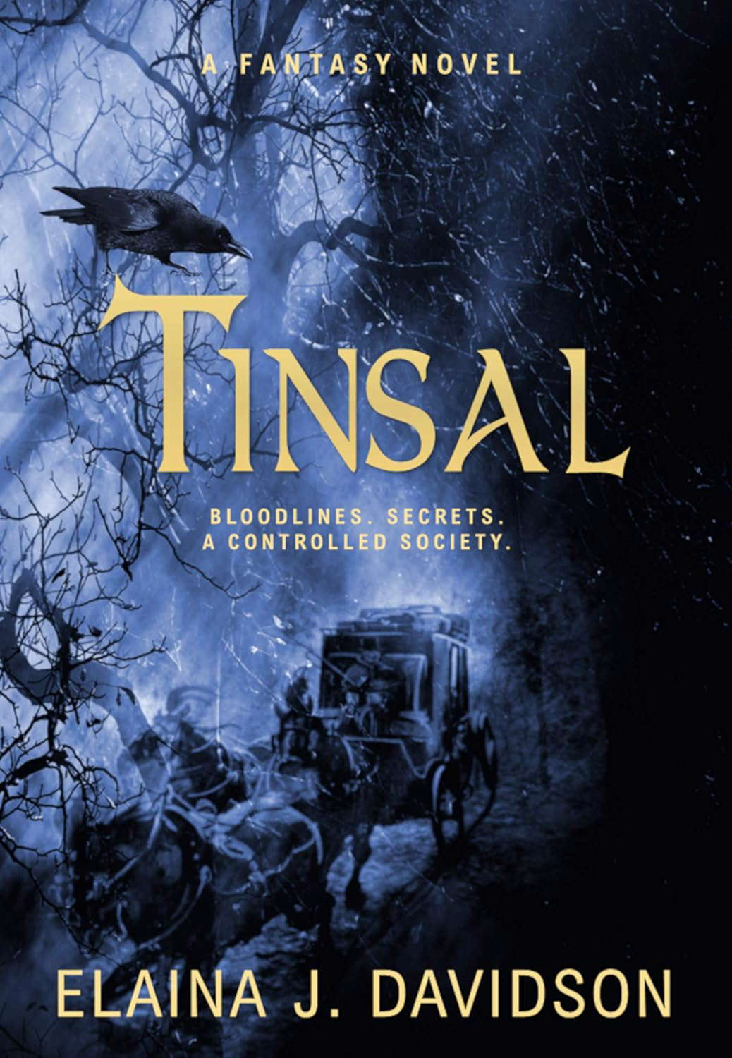 TINSAL poster