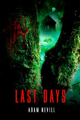Last Days poster