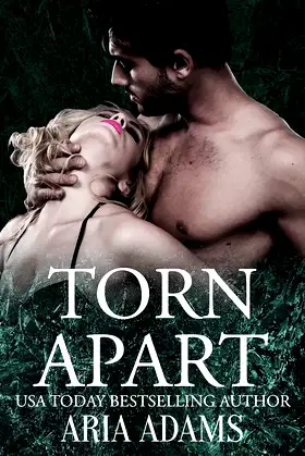 Torn Apart poster
