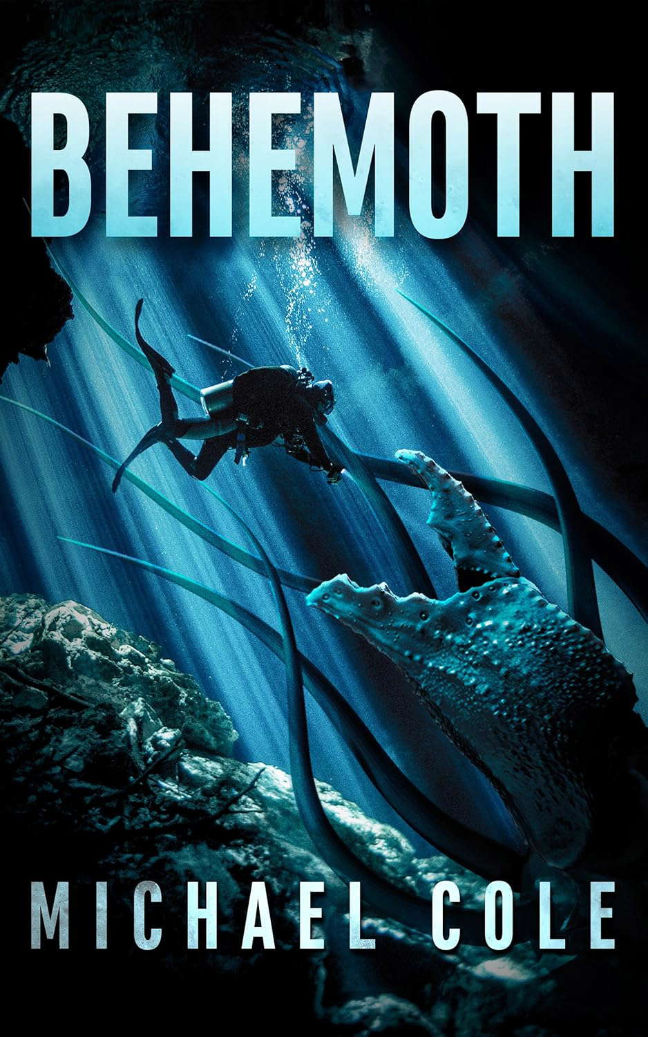 Behemoth poster