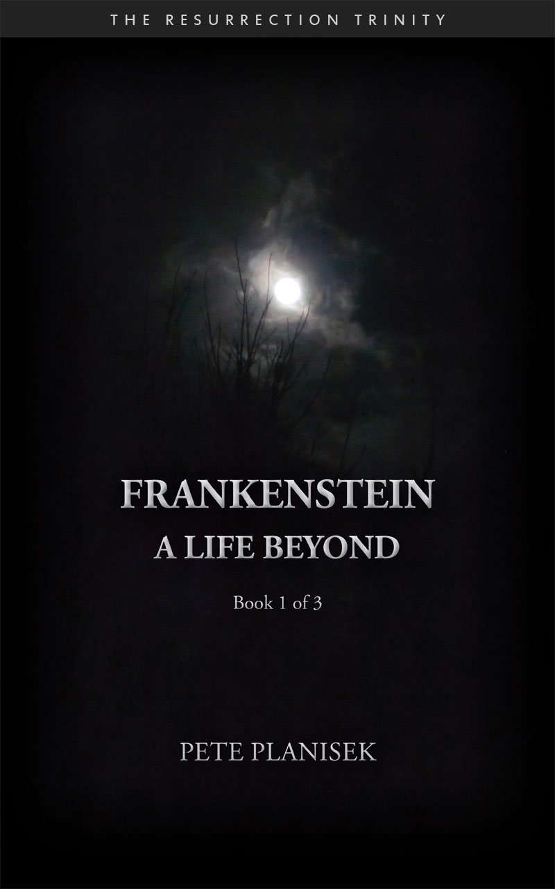 Frankenstein A Life Beyond: Book 1 of 3 The Resurrection Trinity poster