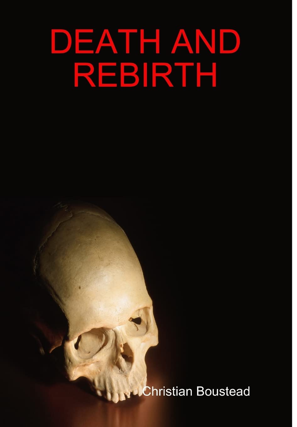 Death and Rebirth poster