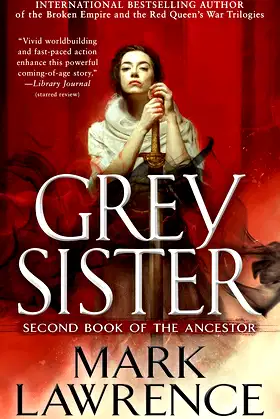 Grey Sister (Book of the Ancestor 2) poster