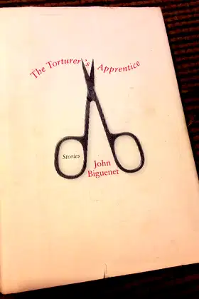 The Torturer's Apprentice: Stories poster