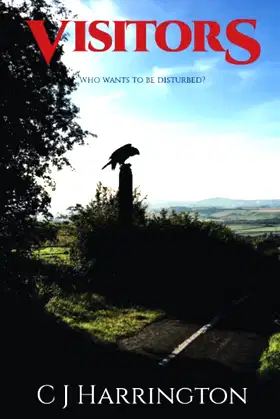 Visitors poster