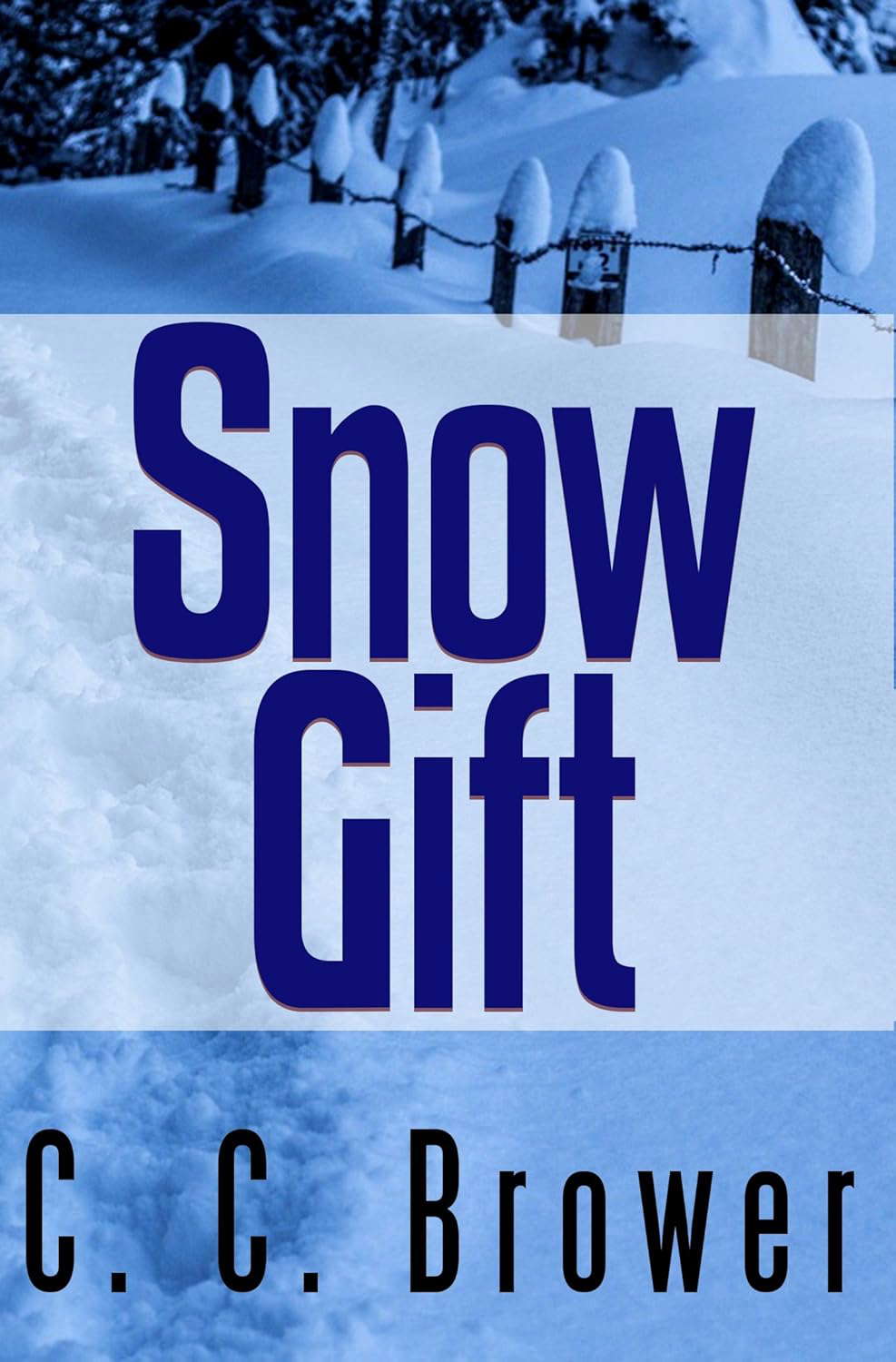 Snow Gift (Short Fiction Young Adult Science Fiction Fantasy Book 4) poster