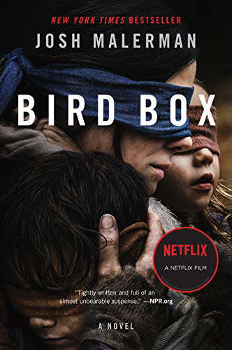 Bird Box MTI poster