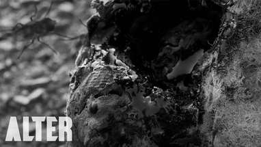 Horror Short Film "Outer Darkness" | ALTER | Online Premiere poster