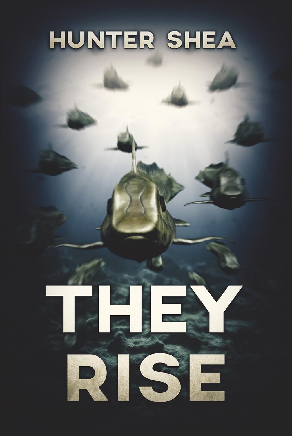 They Rise poster