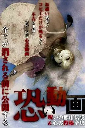 Kowai Douga Noroi no Toshi Densetsu & Shinrei Toukou Zenshuu poster