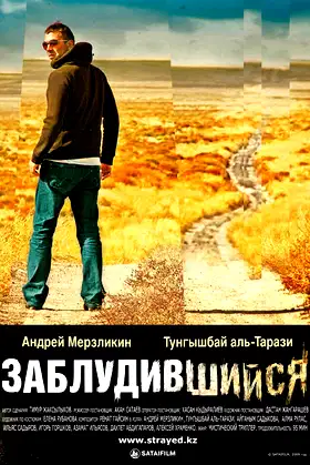 Strayed poster
