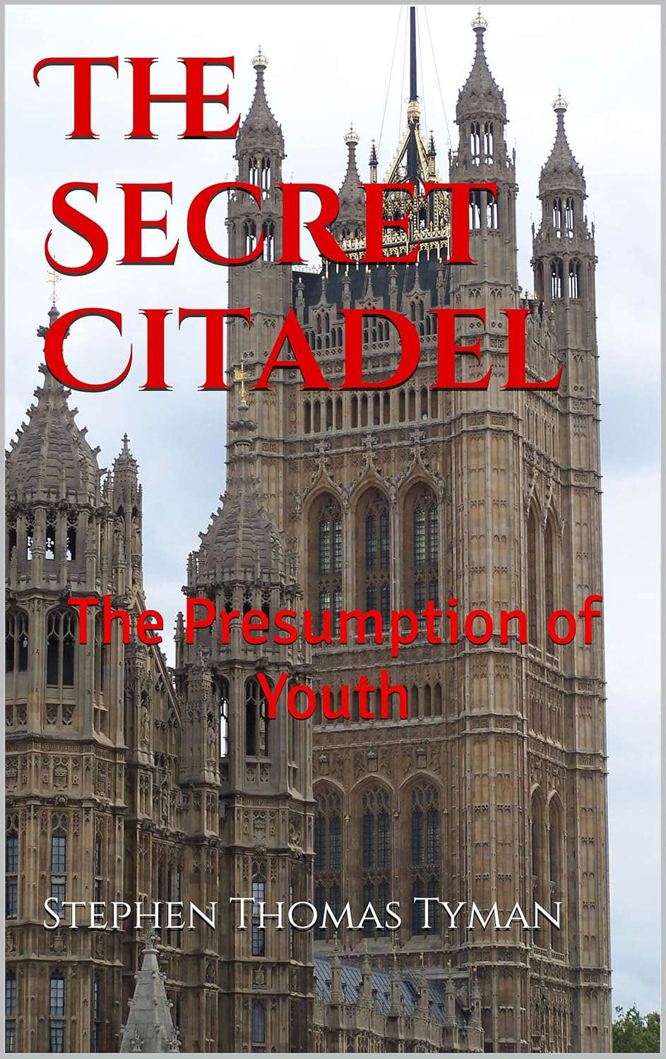 The Secret Citadel: The Presumption of Youth poster