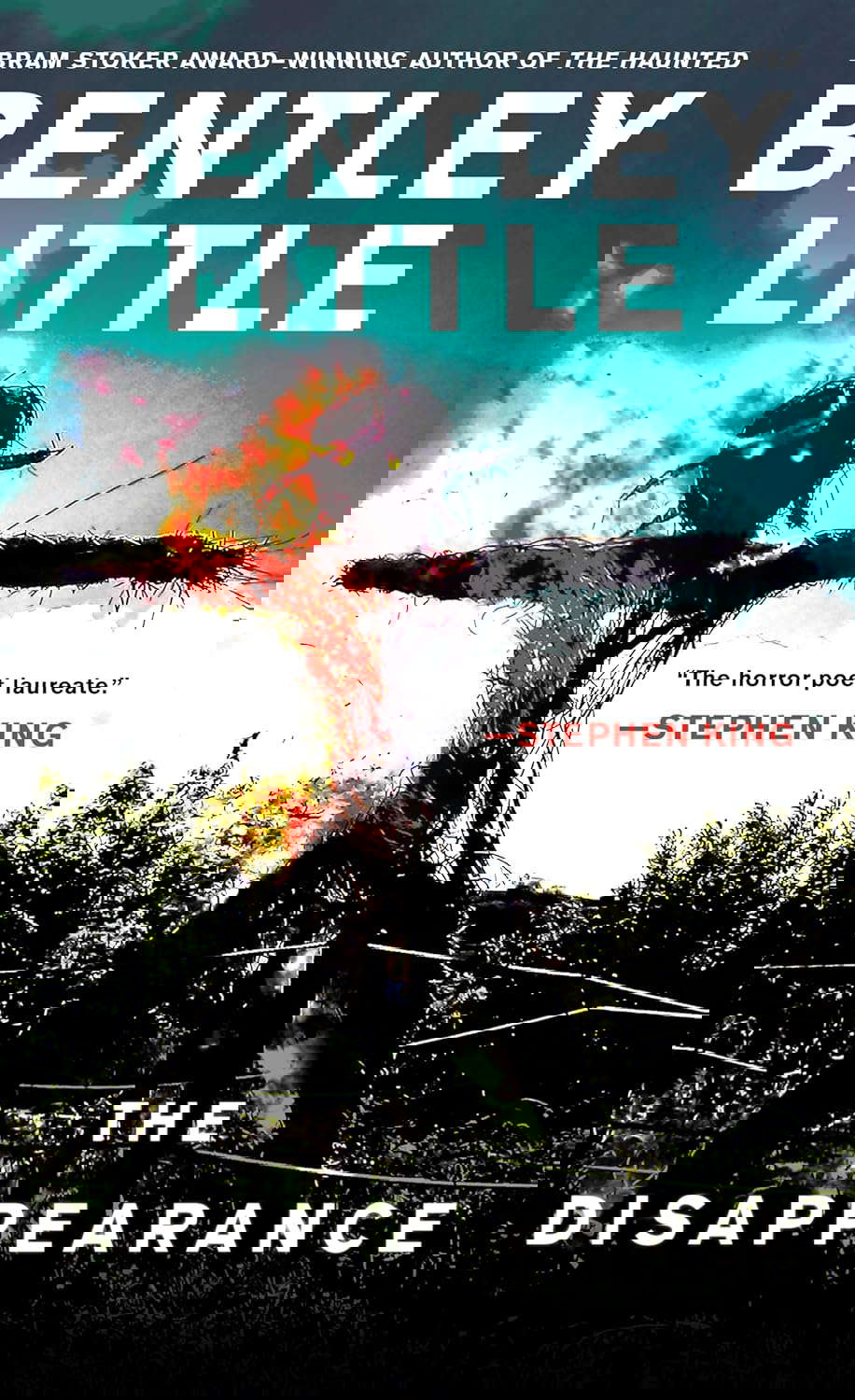 The Disappearance poster