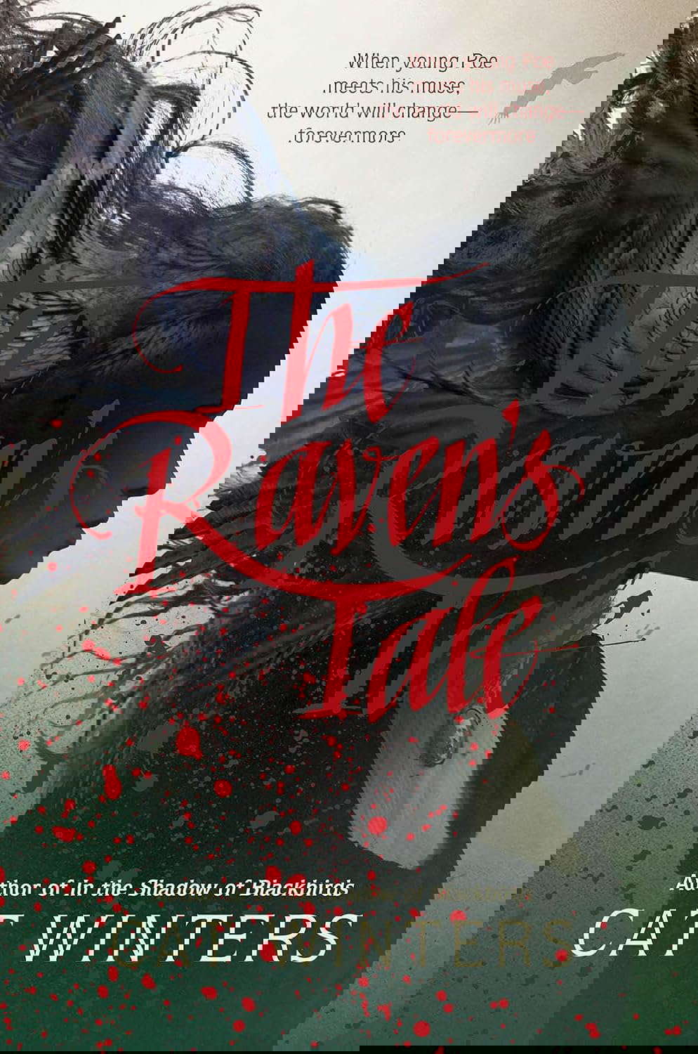 The Raven's Tale poster