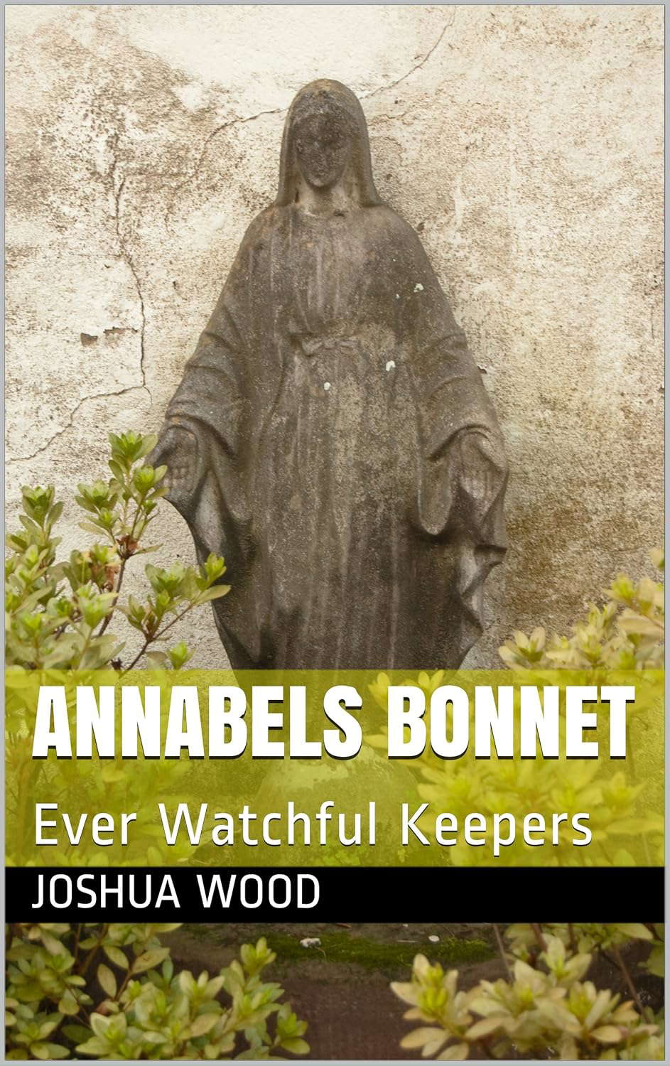 Annabels Bonnet: Ever Watchful Keepers (E.W.K series Book 1) poster