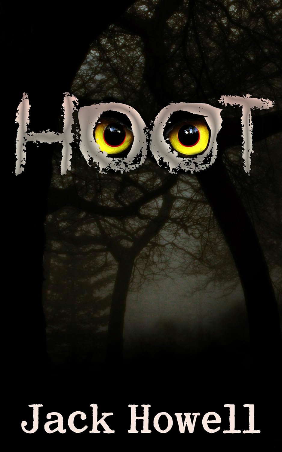 Hoot poster