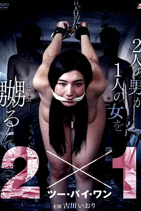 2x1 poster